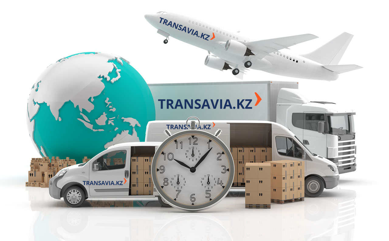 Грузоперевозки по всему миру от авиакомпаний |Transavia / Услуги /  Transavia.kz